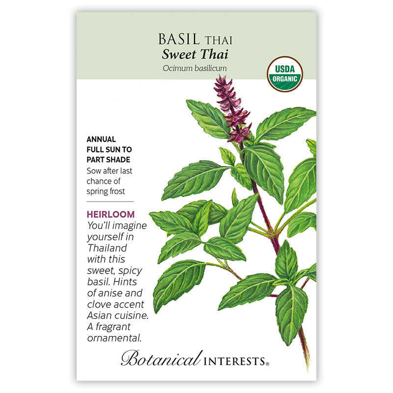 basil seeds plant name Sweet Thai Basil Seeds