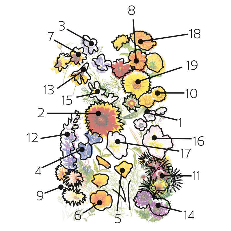 botanical interests flower seeds Water-Wise Garden Flower Mix Seeds
