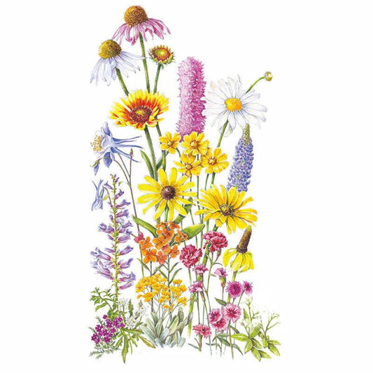 Perennial Bloom Flower Mix Seeds