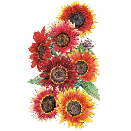 7204i_L-Sunflower-Drop-Dead-