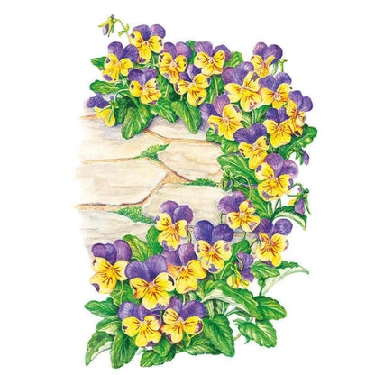 Johnny-Jump-Up Viola Seeds