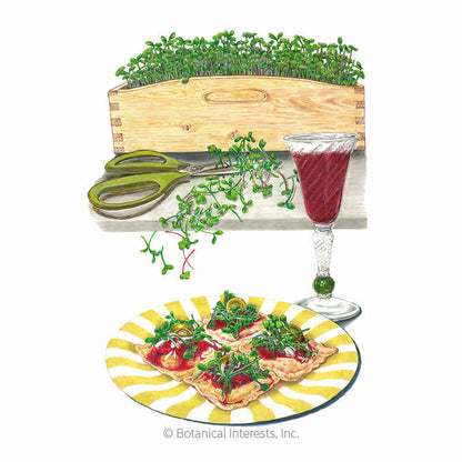 Italian Amaro Blend Microgreens Seeds