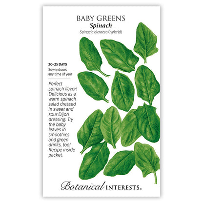 Spinach Baby Greens Seeds
