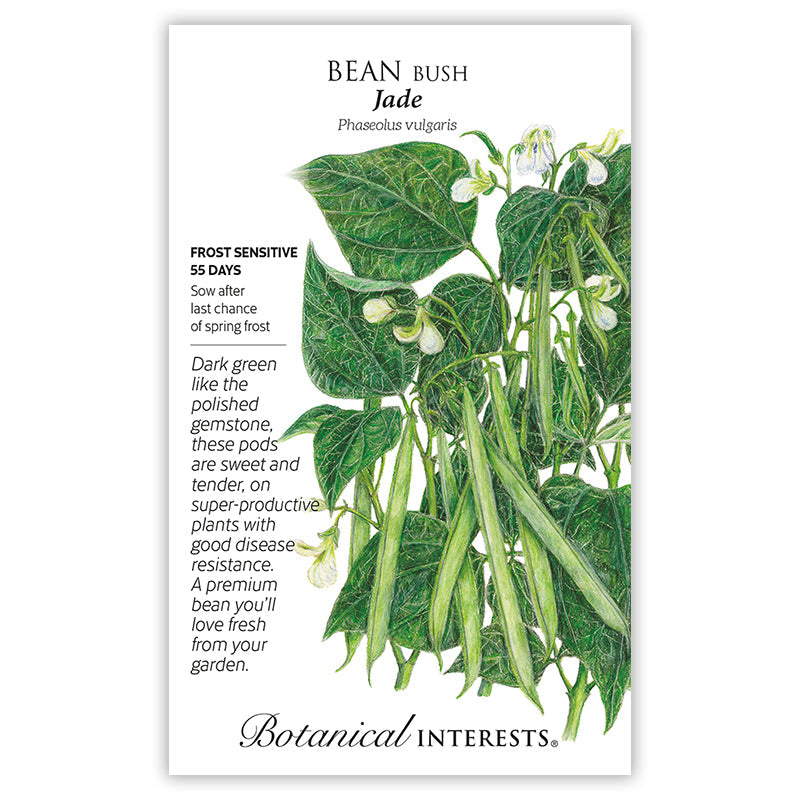 Jade Bush Bean Seeds – Botanical Interests
