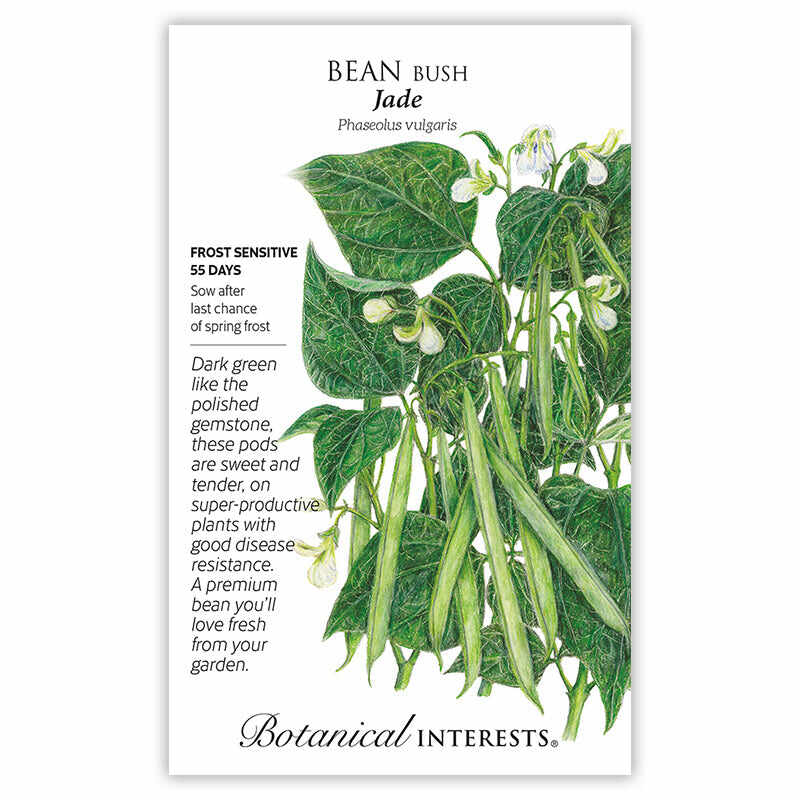 plant a bean seed Jade Bush Bean Seeds – Botanical Interests