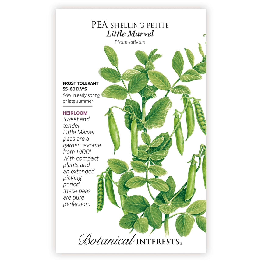 Little Marvel Petite Shelling Pea Seeds