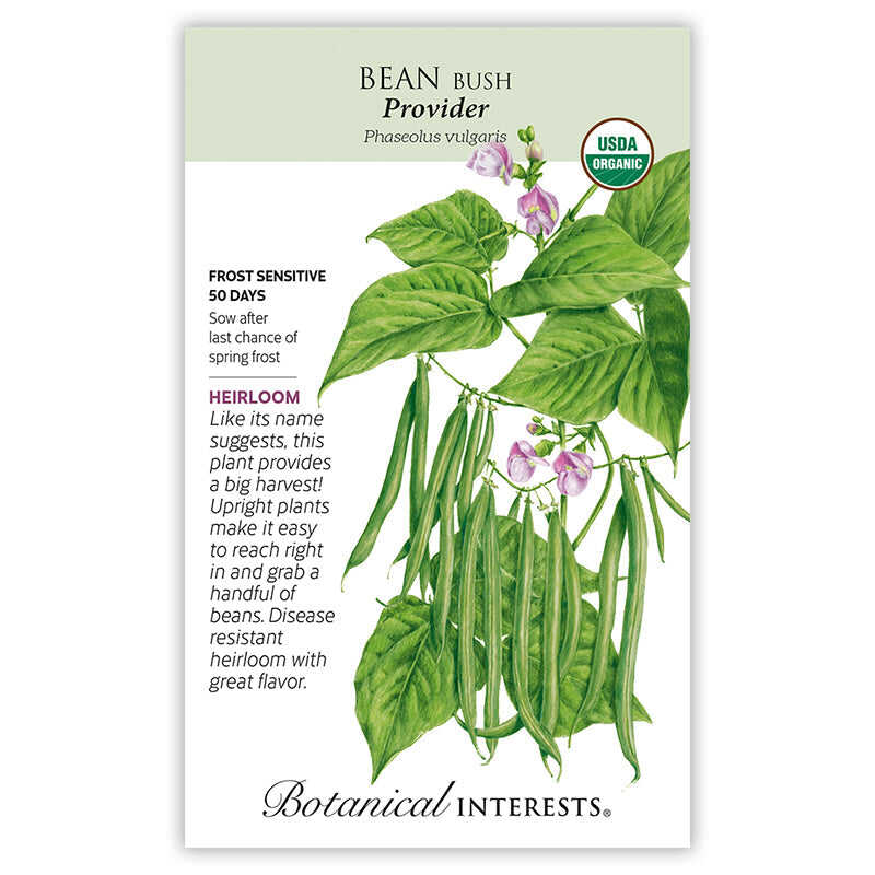 planting bush beans from seeds Provider Bush Bean Seeds
