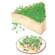Mellow Blend Microgreens Seeds