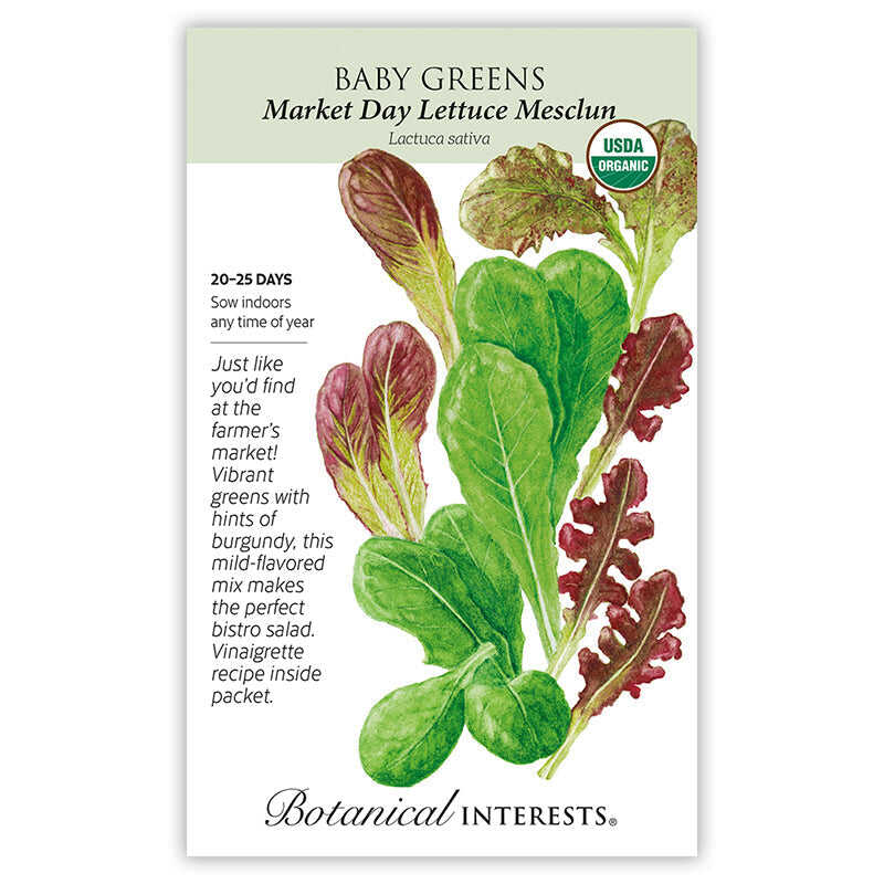 plant salad seeds Market Day Lettuce Mesclun Baby Greens Seeds