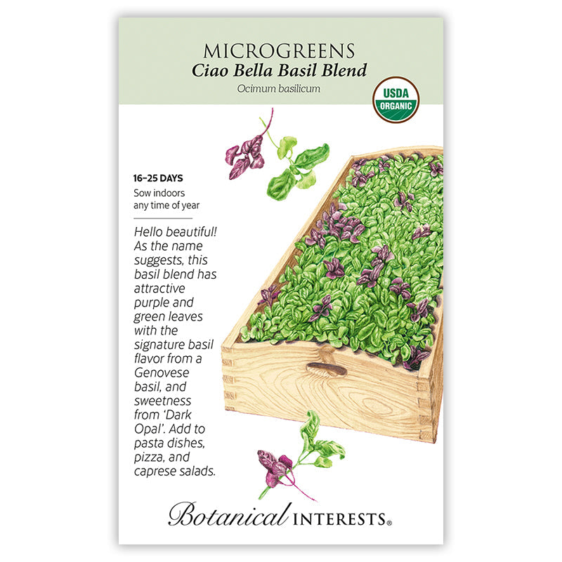 Ciao Bella Basil Blend Microgreens Seeds – Botanical Interests