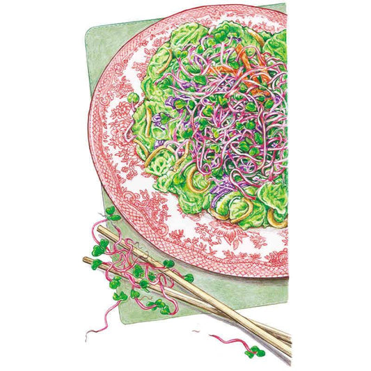 China Rose Radish Sprouts Seeds