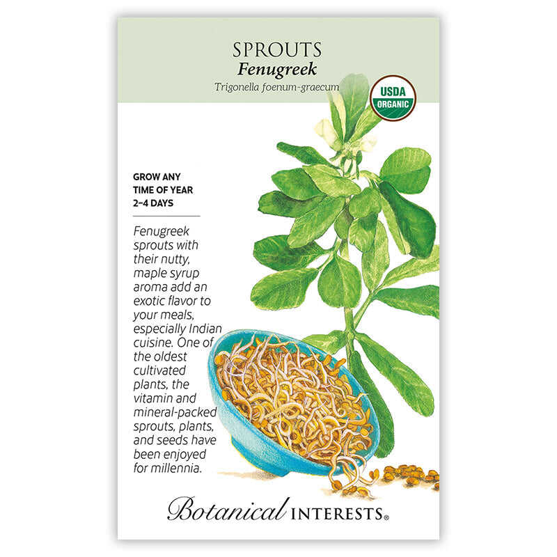 fenugreek seed for planting Fenugreek Sprouts Seeds