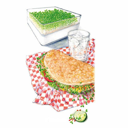 Red Clover Sprouts Seeds