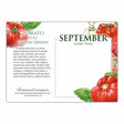 2026 Botanical Interests Desk Calendar