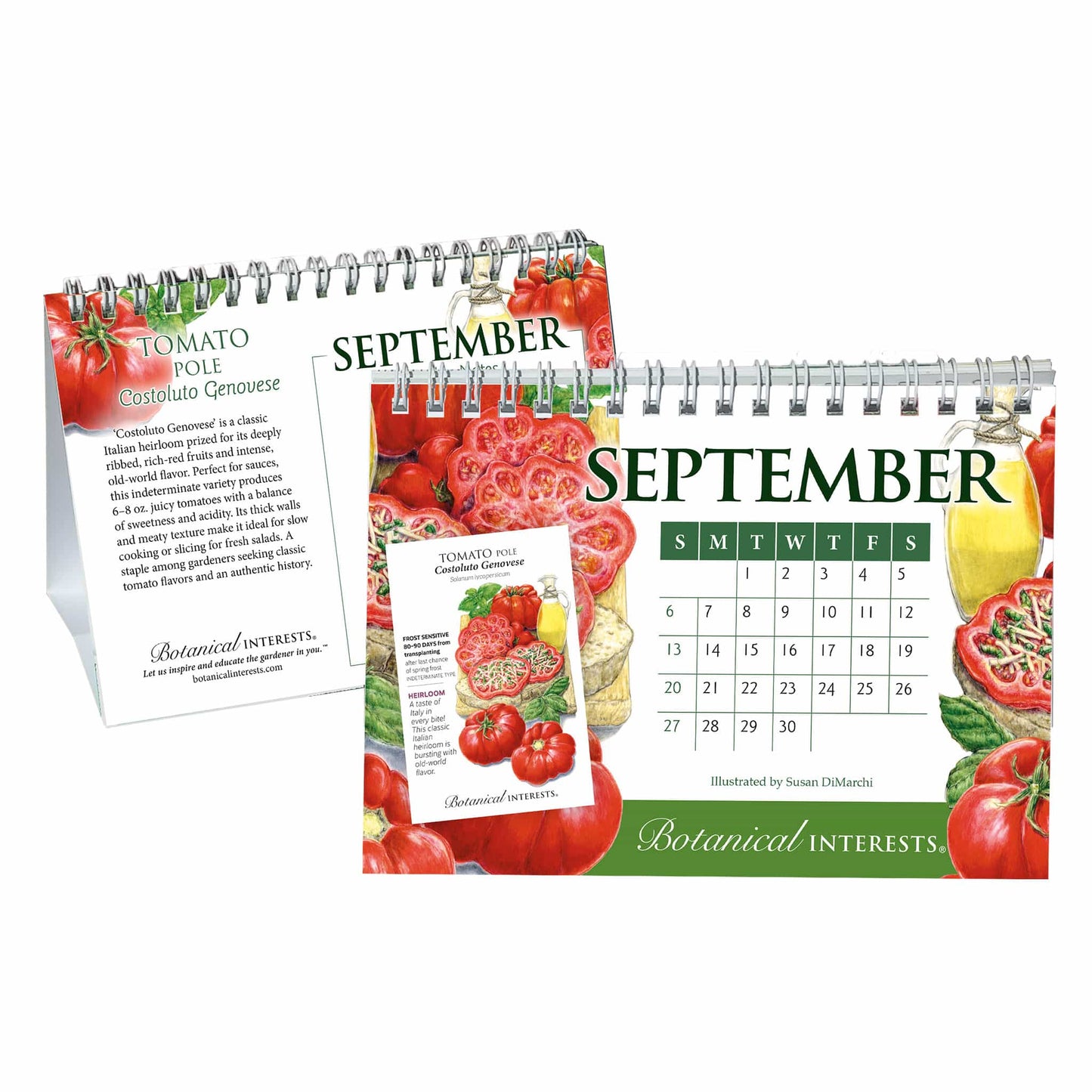 2026 Botanical Interests Desk Calendar