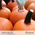 Sugar Pie Pumpkin Seeds