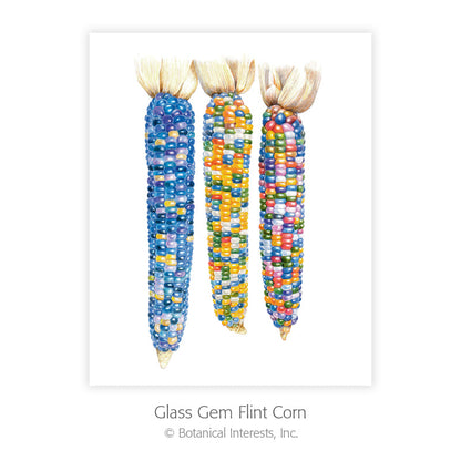 Botanical Art Prints