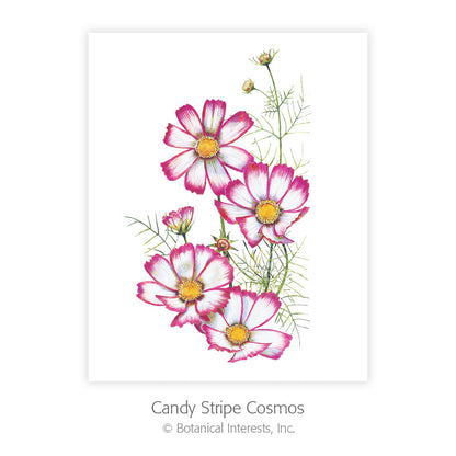 Botanical Art Prints