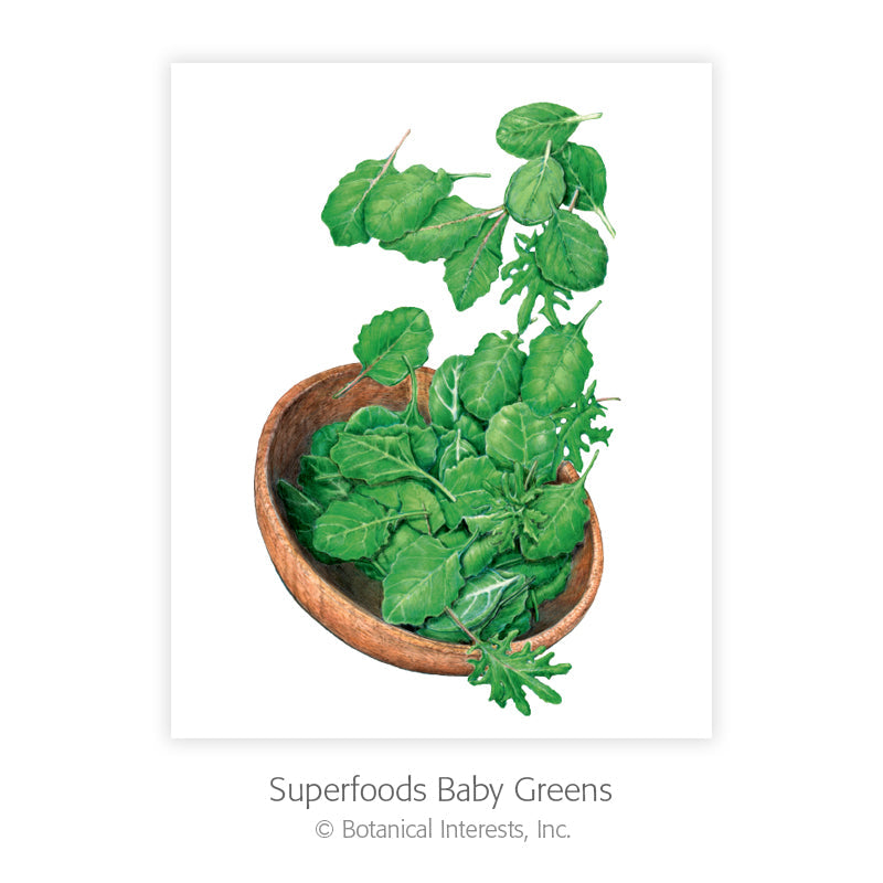 Botanical Art Prints
