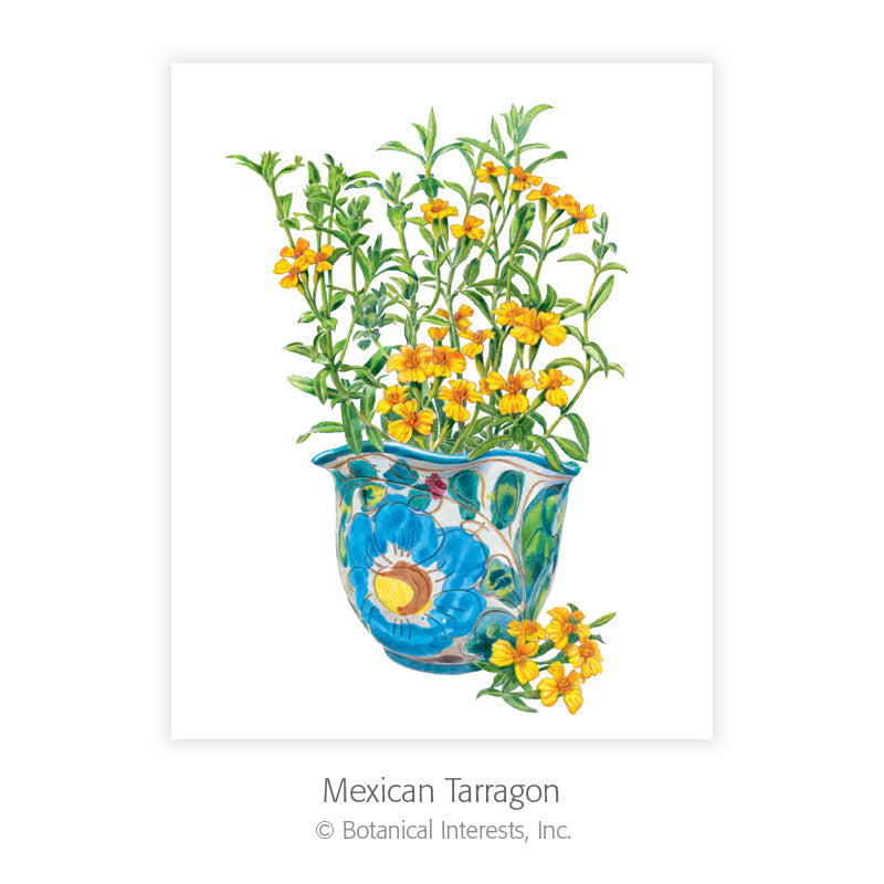 Botanical Art Prints