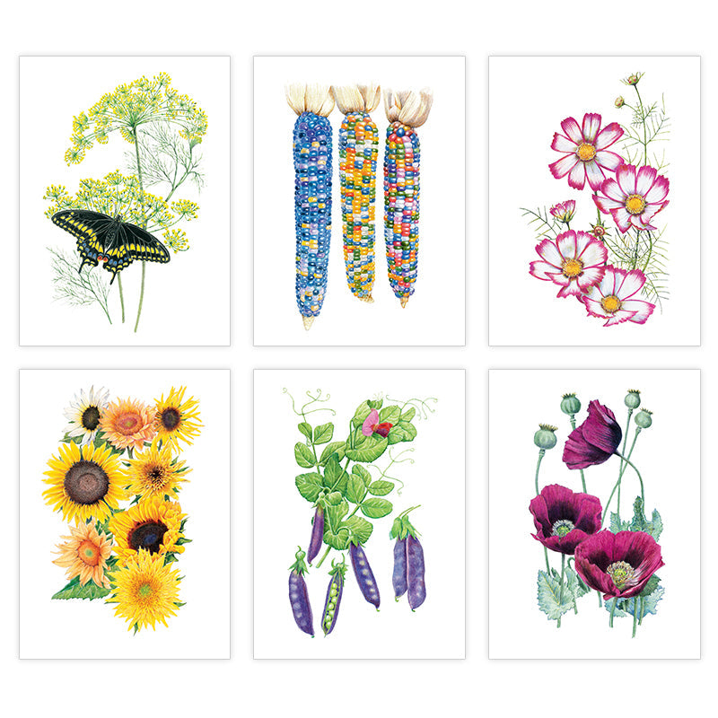 Botanical Art Notecard Set