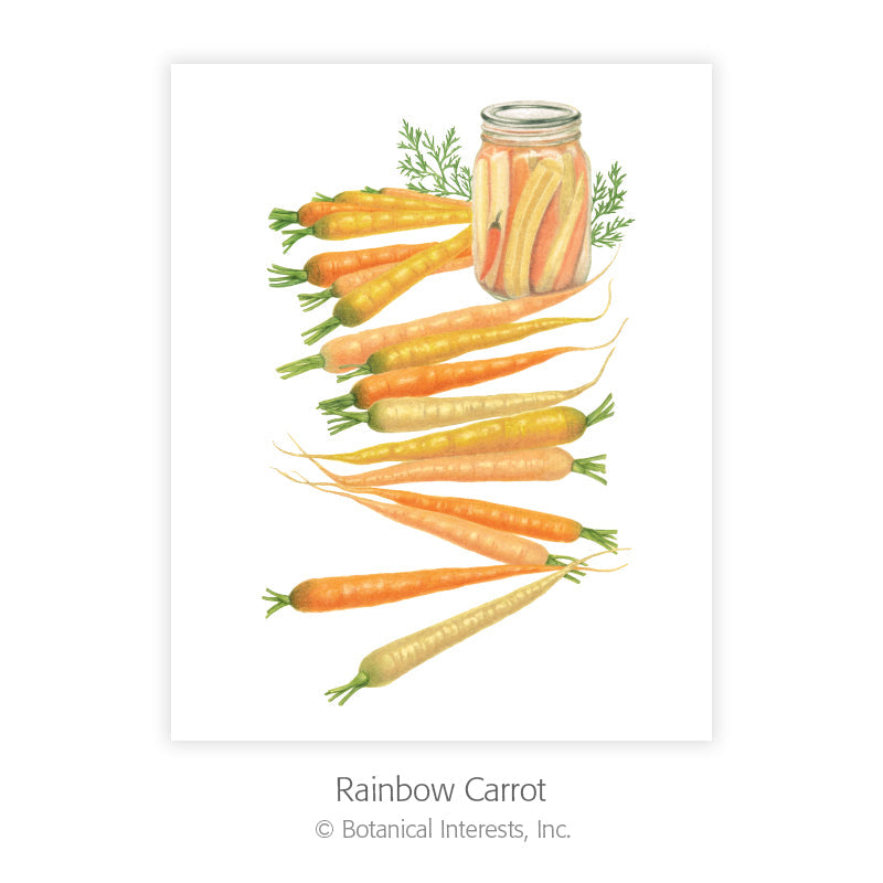Botanical Art Prints