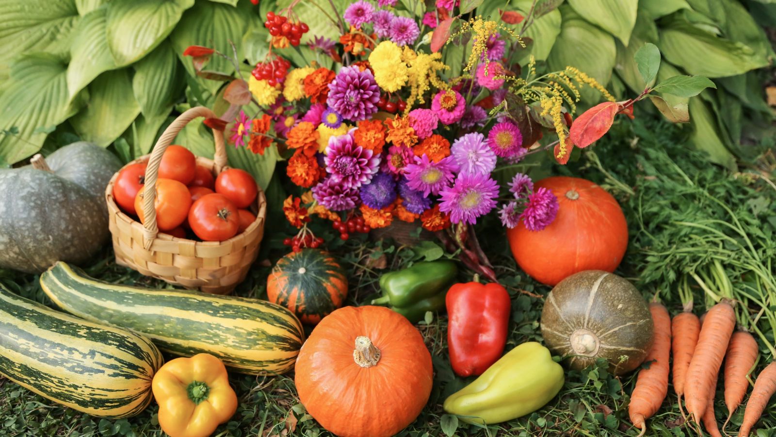Red Kuri Winter Squash Seeds – Botanical Interests