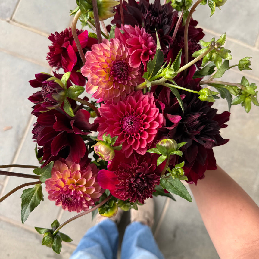In My Dahlia Mom Era Collection