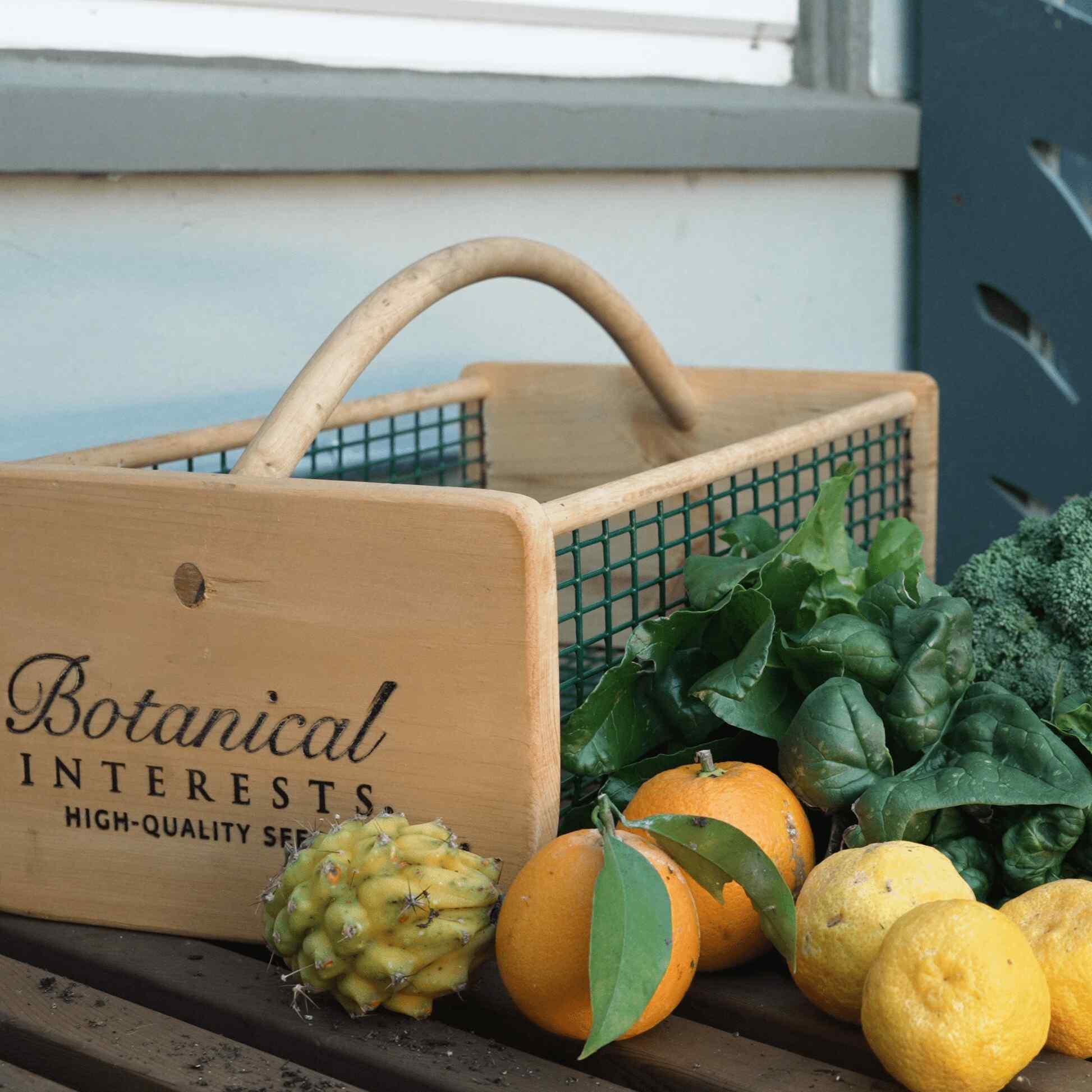 Harvest Basket Botanical Interests