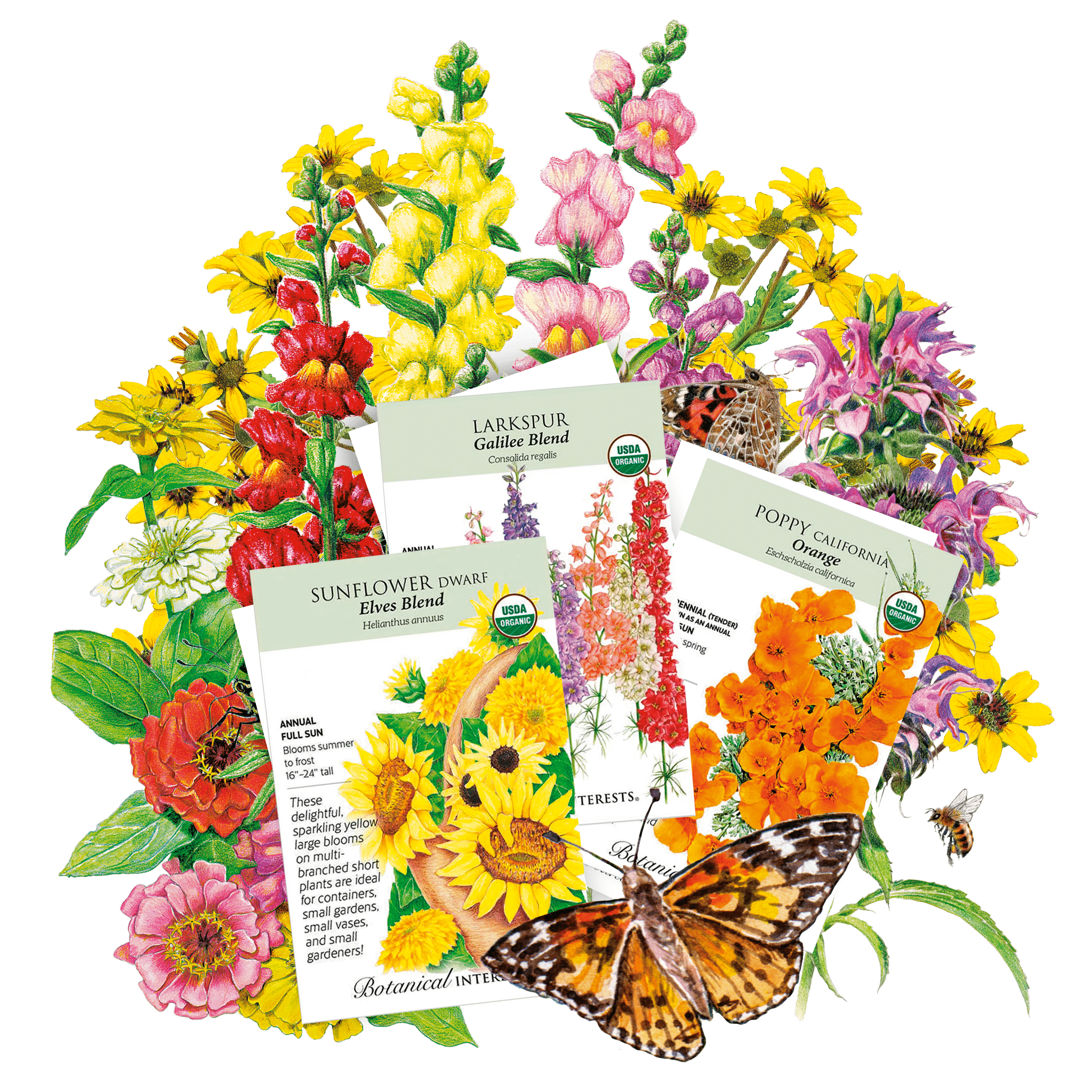 Spring Flower Bundle – Botanical Interests