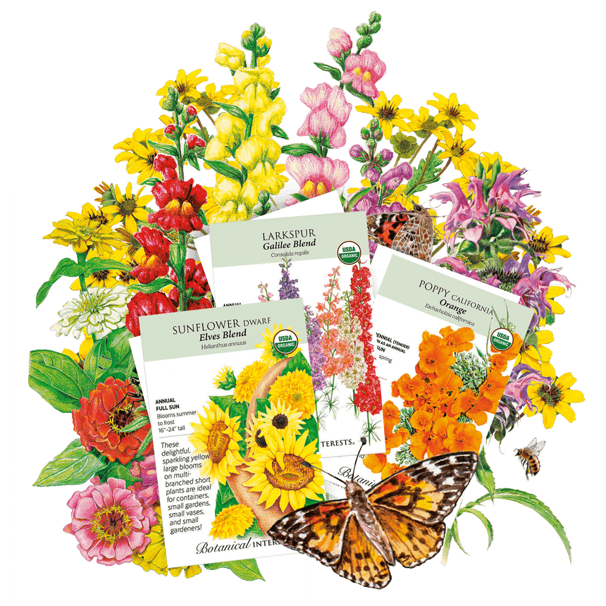 spring flower seeds Spring Flower Bundle