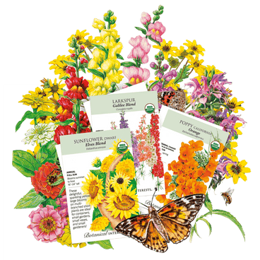 Spring Flower Bundle