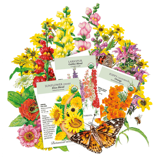Black Friday Flower Bundle
