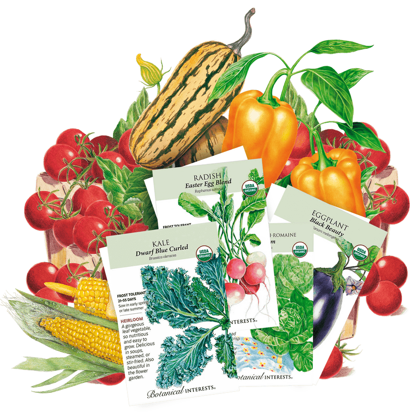 Spring Veggie Bundle