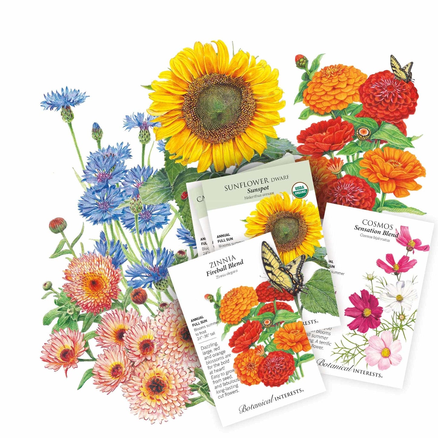 Black Thumb-Proof Flower Garden