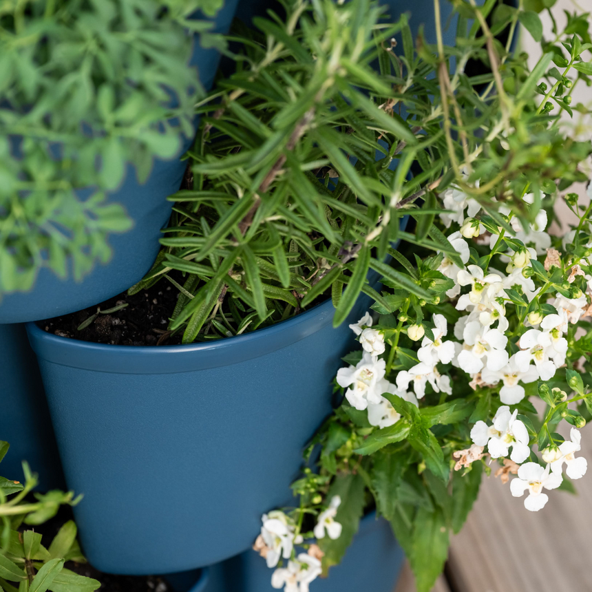 GreenStalk 7-Tier Vertical Planter