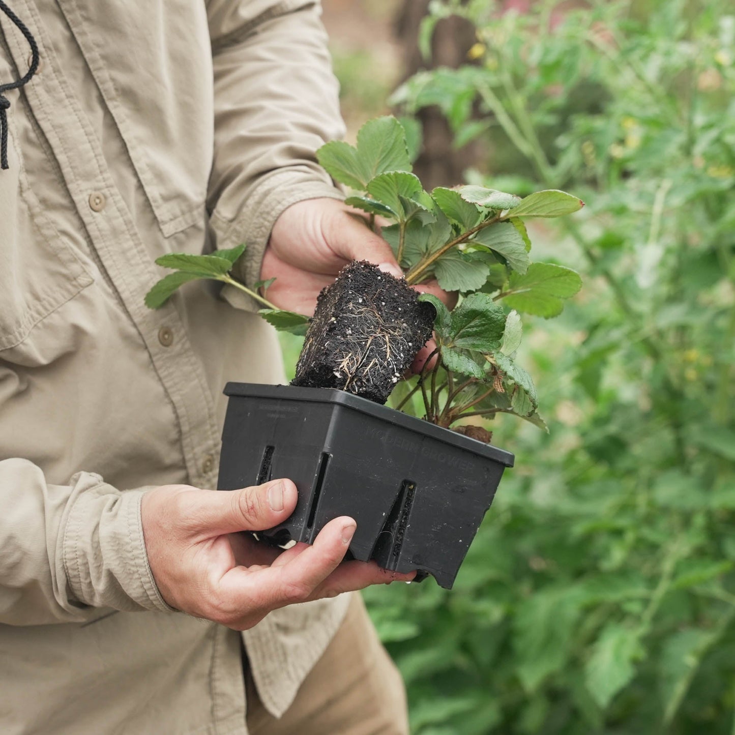 The Premium Seed Starting Kit
