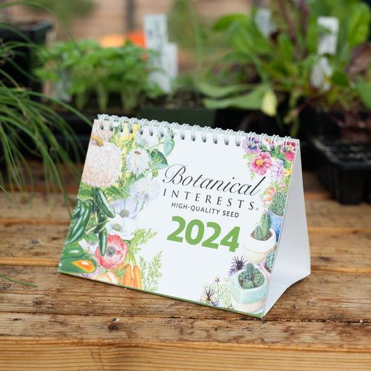 2024 Botanical Interests Desk Calendar