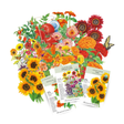 Desert Sunset Bundle