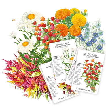 dried flower seeds @bloomingjoyflowerco Dried Flower Bundle