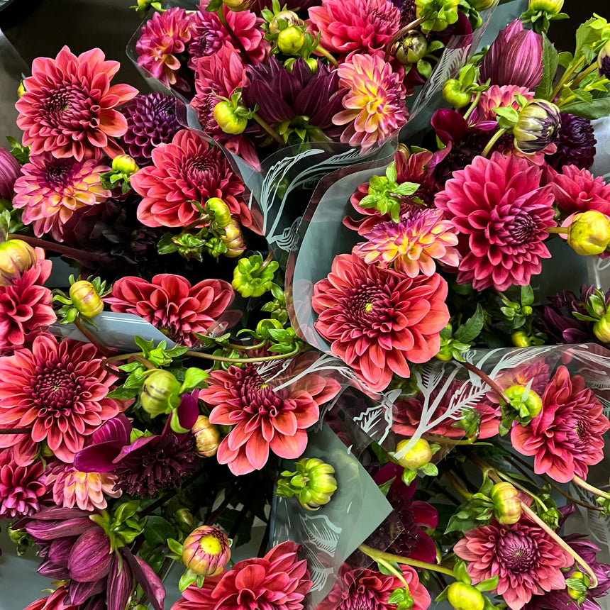 In My Dahlia Mom Era Collection