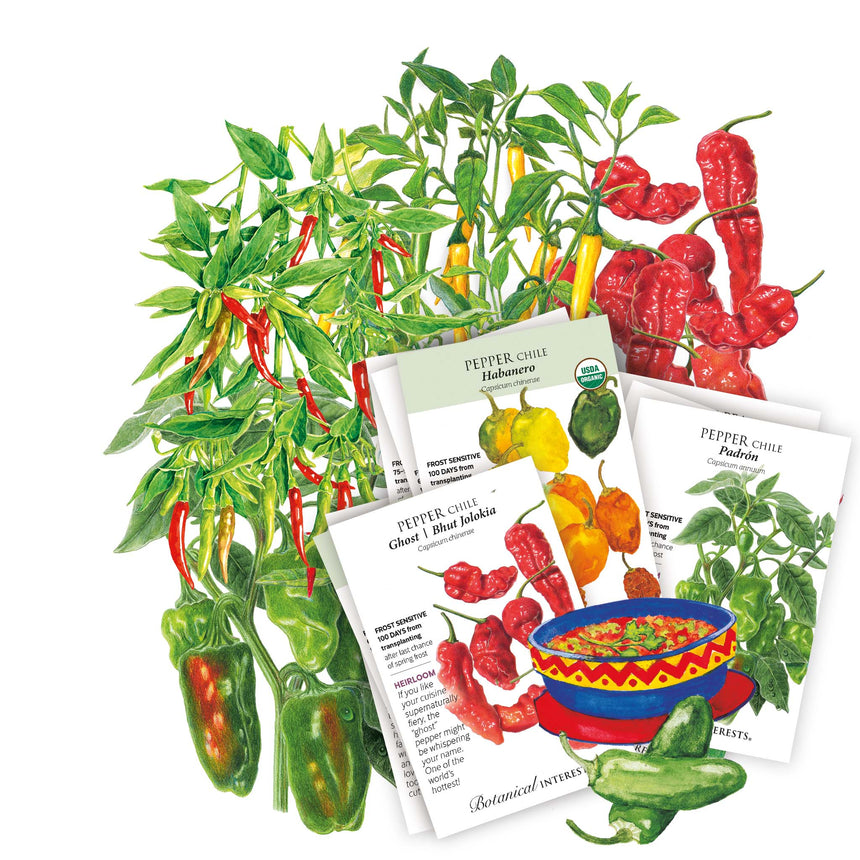 Heatwave Seed Bundle
