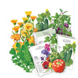 The Container Collection Seed Bundle