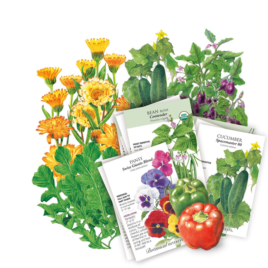 seeds for container garden The Container Collection Seed Bundle – Botanical Interests
