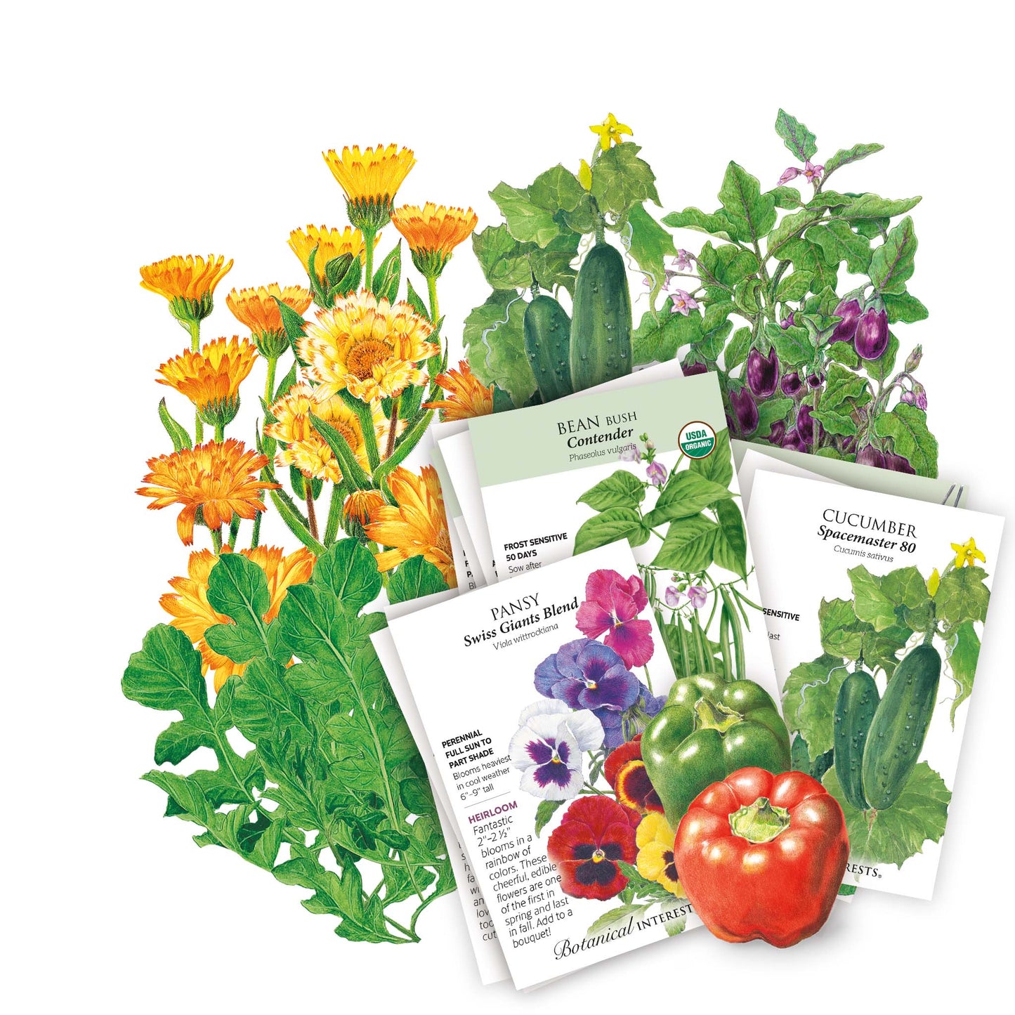 The Container Collection Seed Bundle