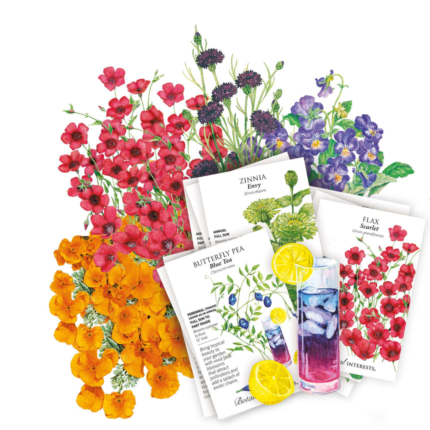 Dream In Color Seed Bundle