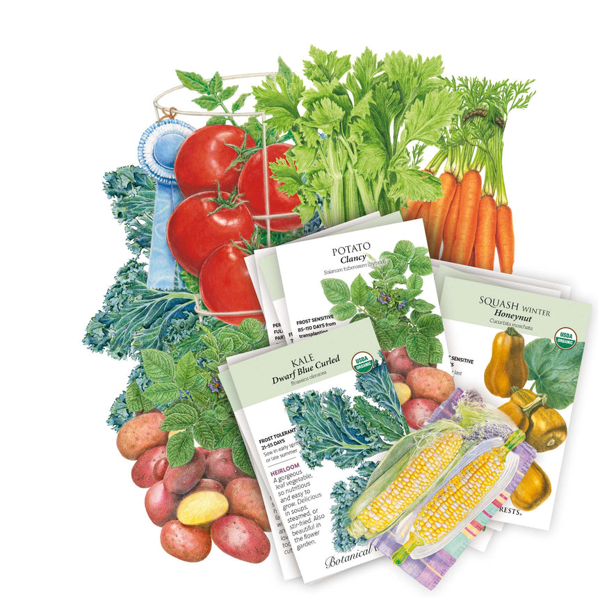 good flower seeds Good Soup Seed Bundle – Botanical Interests