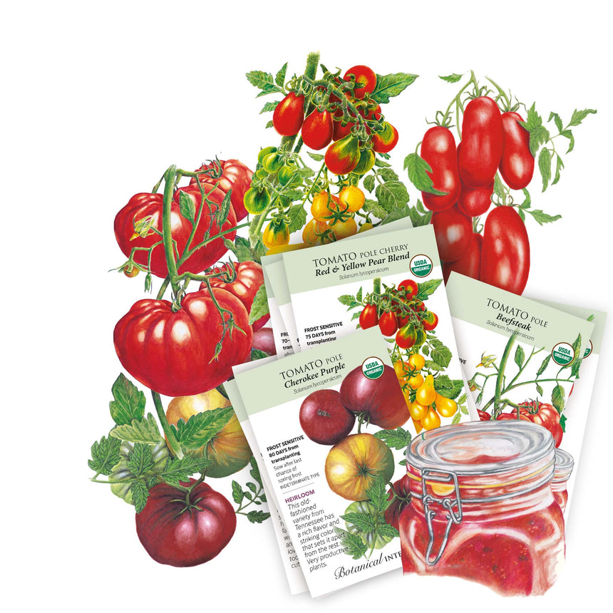 tomato plants seeds Heirloom Tomato Seed Bundles – Botanical Interests