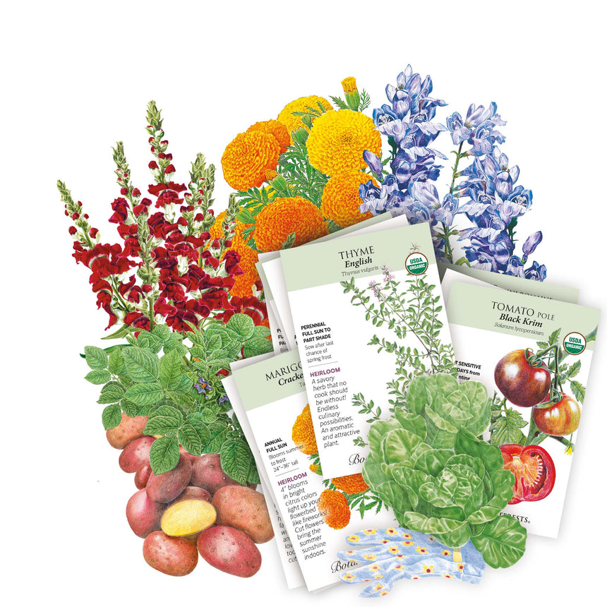 plant and vegetable seeds Intermountain Seed Bundle – Botanical Interests