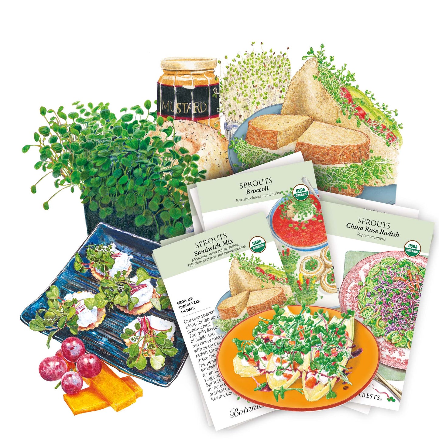 Microgreens & Sprouts Seed Bundle